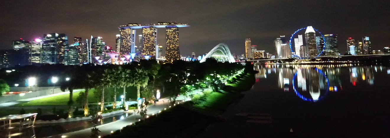 The Singletons in Singapore 