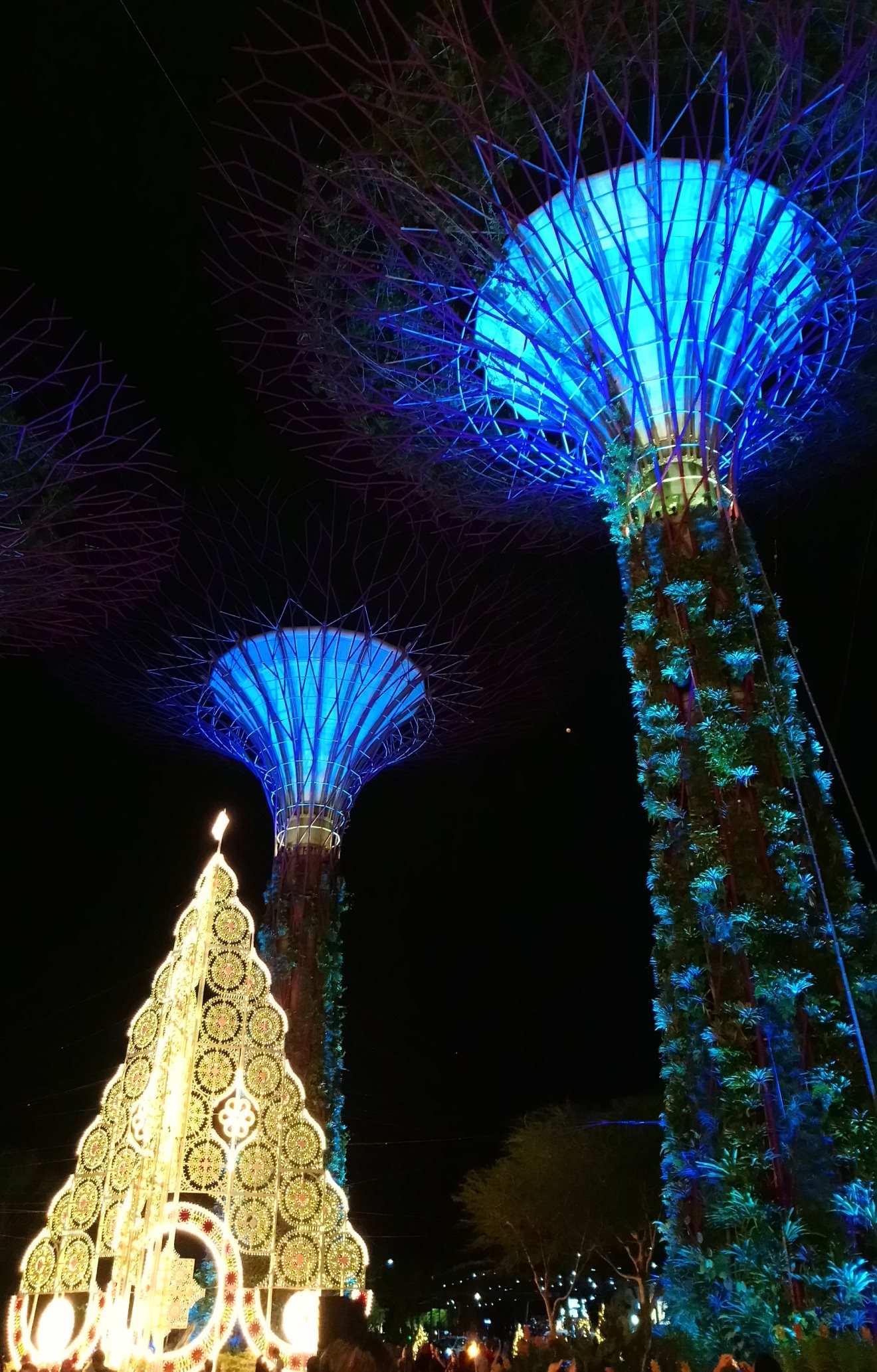 Christmas tree at the Gardens by the Bay