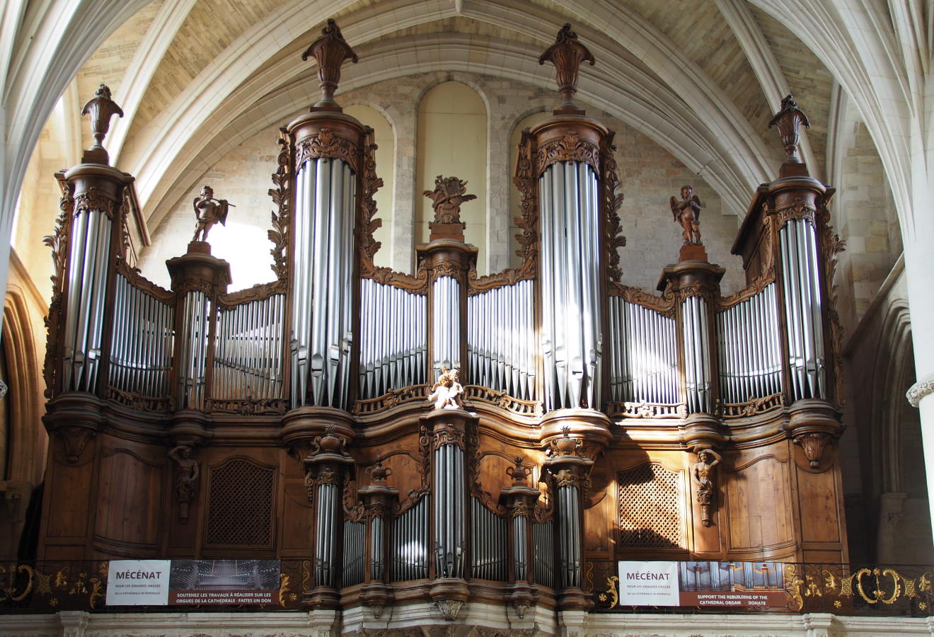 organ